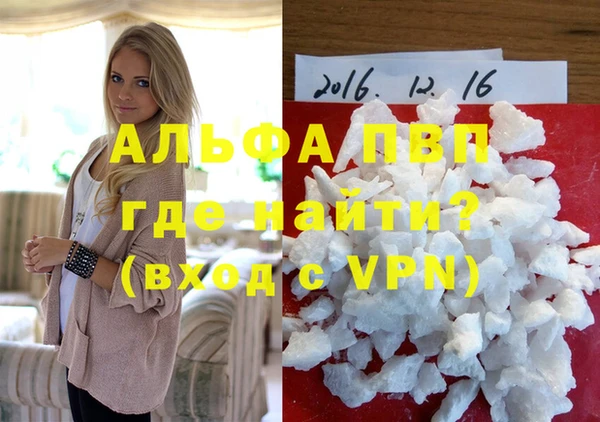 стаф Володарск