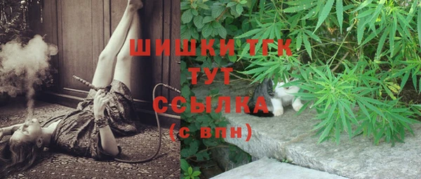 молекула духа Волосово