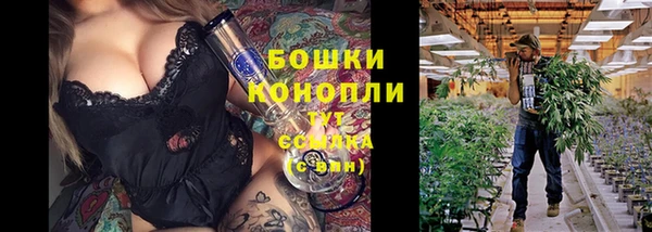 стаф Володарск
