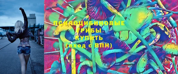 молекула духа Волосово